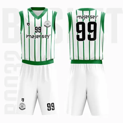 basketbol-b0032-2