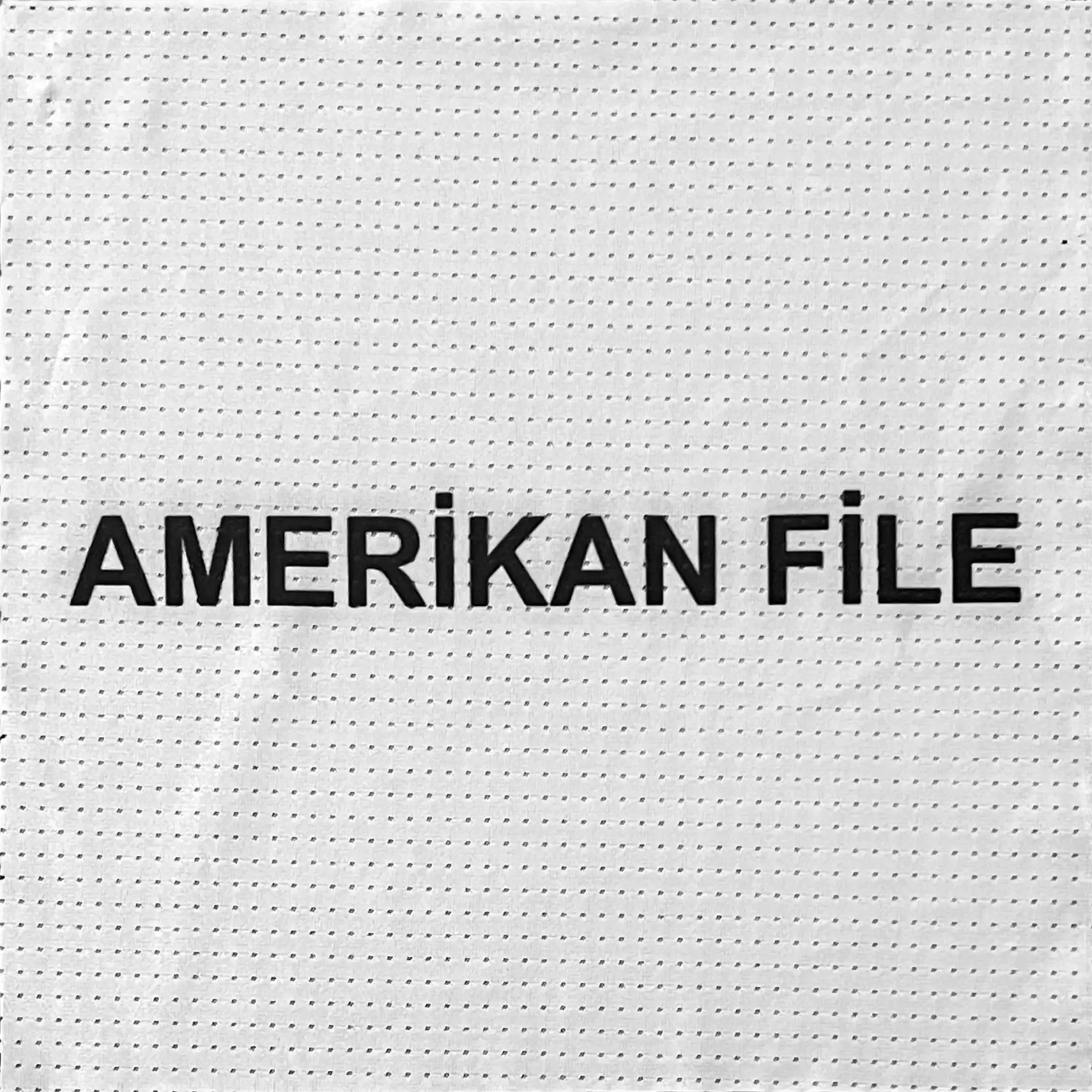 AMERİKAN FİLE